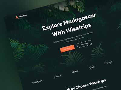 Travel Website - Wisetrips agency clean design figma homepage landing page nature photoshop travel traveling ui ux ux design web web design website
