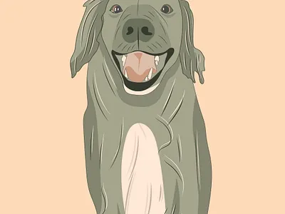 Ollie dog illustration