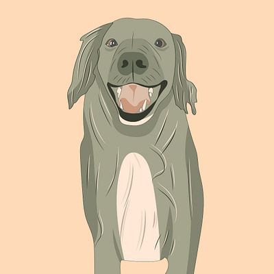Ollie dog illustration