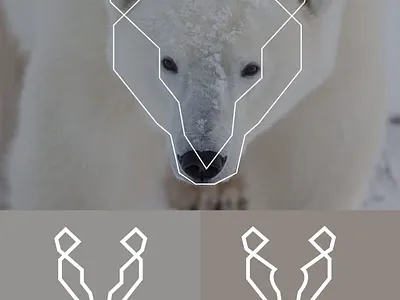 Polar bear logo branding design digitalpainting manitgraphics graphic design illustration logo logo brand manitgraphics manitgraphics polarbearlogo