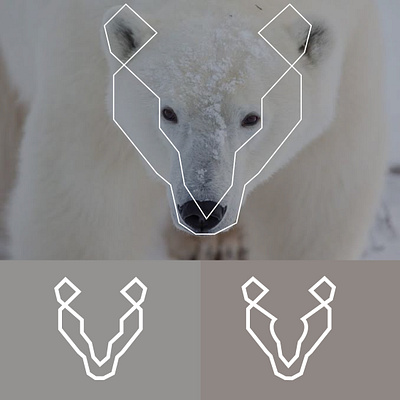 Polar bear logo branding design digitalpainting manitgraphics graphic design illustration logo logo brand manitgraphics manitgraphics polarbearlogo