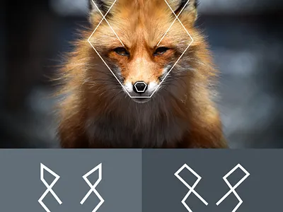 Fox logo branding design foxlogo graphic design logo logo brand manitgraphics vector