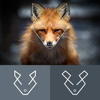 Fox logo branding design foxlogo graphic design logo logo brand manitgraphics vector