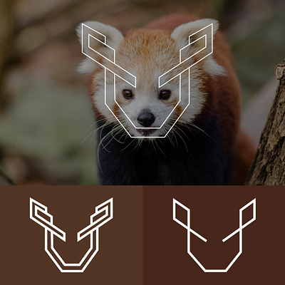 Red panda logo branding design graphic design illustration logo logo brand manitgraphics redpandalogo