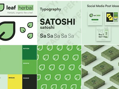 A Herbal Company Branding 🍀🍃 branding des design graphic design illustration logo typography ui vector