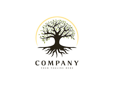Oak banyan tree logo design with tree and root vector design family logo vector