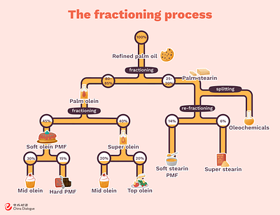 Breaking down palm oil adobe photoshop after effects animation design digital illustration illustration infographics palmoil procreate