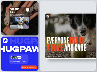 Hugpaw | Service for helping animals adoptable pets animal lovers charity compassion concept foster care helping hands home page pet pet care pet finder pet rescue product design rescue animals save animals shelter pets ui ux user experience volunteer web design