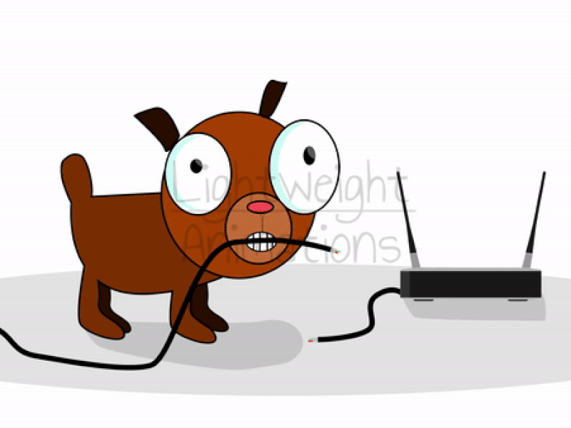 No Internet Lottie Animation connection failed connection lost disconnected empty state error error 404 internet internet problem member network error no no connection no internet no network