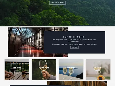 Mionic Wines design graphic design illustration logo web design