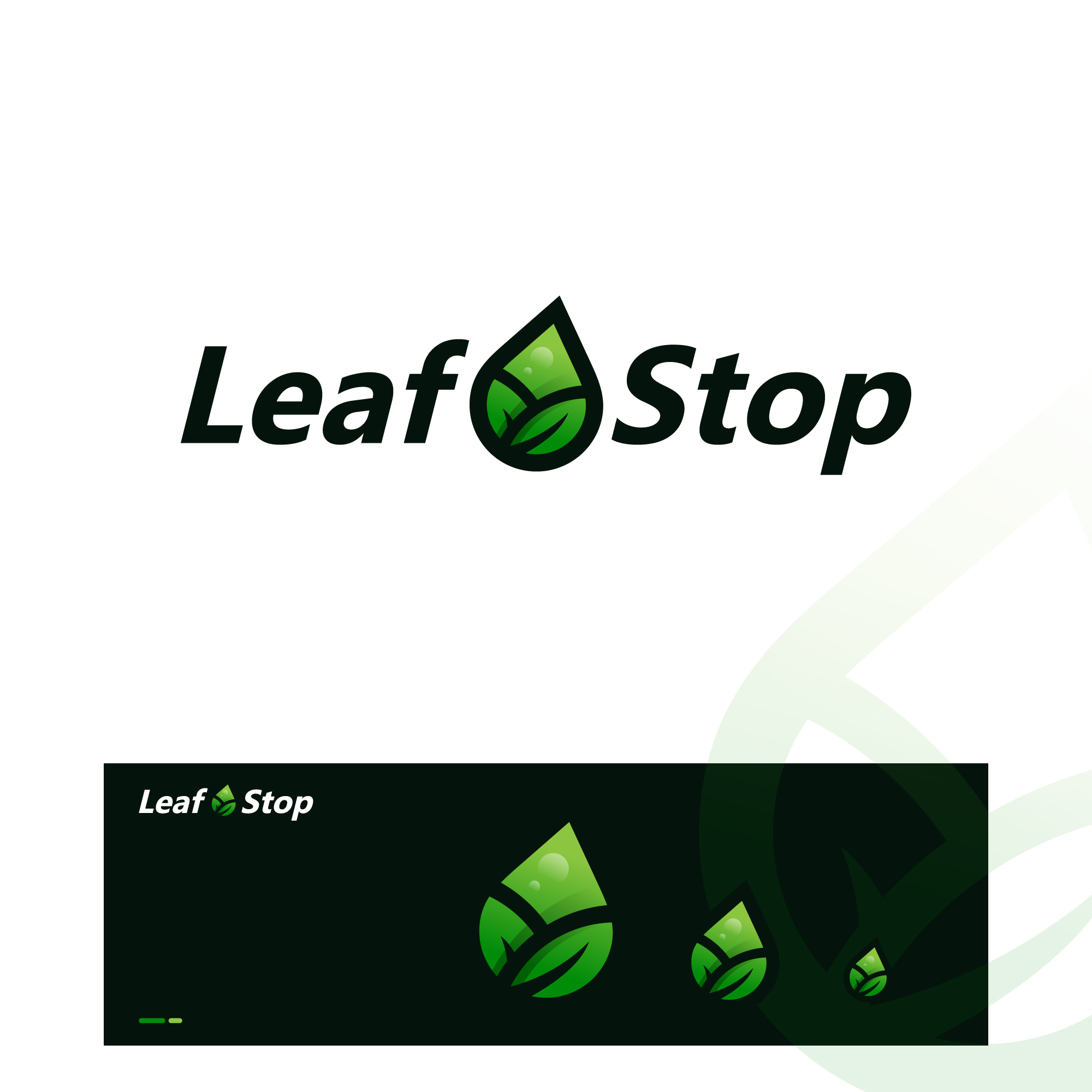 Example of Professional Custom Logo Design 