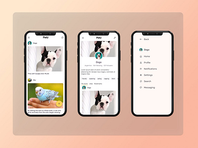 PetU🐾 app cleanui design dog graphic design pet ui uidesign