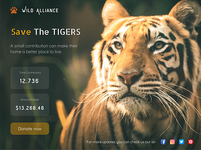 Daily UI #032 - Crowdfunding Campaign canva contribution crowd funding crowd funding campaign crowdfunding daily ui 32 daily ui challenge dailyui32 dailyuichallenge donate donation donation camp fund fund raising graphic design money donation save tigers savetigers tiger ui
