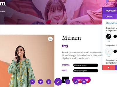 Product Page div website design wordpress