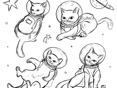 For all cat kind branding cat design digital illustration graphic design illustration logo vector