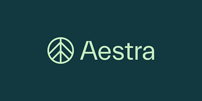Rebrand for Strategic Consulting Firm brand identity brand naming brand positioning brand strategy branding rebrand rebranding