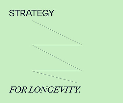 Rebrand for Strategic Consulting Firm branding rebranding
