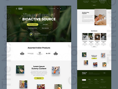 Evaz International agriculture product website branding creative design export graphic design illustration logo morden trendy typography ui ux website