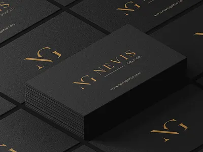 NEVIS GO.CO. LOGO branding design graphic design illustration logo modernlogo vector