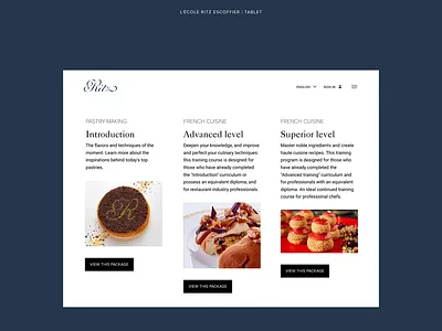 Ritz. Web. Concept. app branding design graphic design illustration ui ux