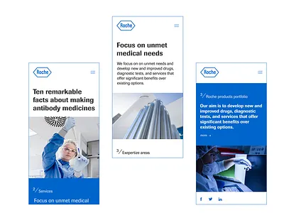Roche. Identity. Concept app branding design graphic design illustration logo typography ui ux vector
