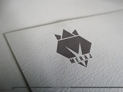 Logo Design branding design graphic design graphic designer graphist illustration logo logo desiging logo design logo designer logo maker logofolio logotype