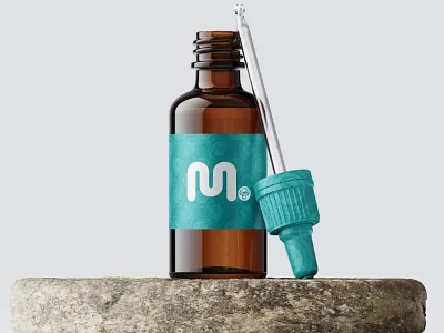 Letter logo design branding design graphic design illustration logo typography vector