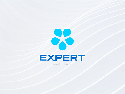 Expert Consulting | Branding branding design graphic design icon design illustration logo social ui vector