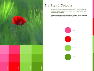 Candy Colour Palette branding business cards color palette design graphic design illustration logo vector