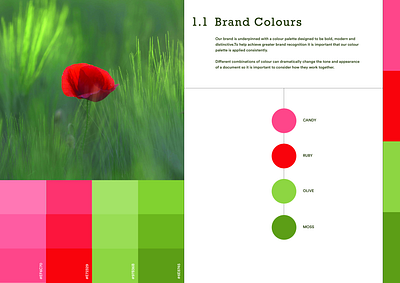 Candy Colour Palette branding business cards color palette design graphic design illustration logo vector