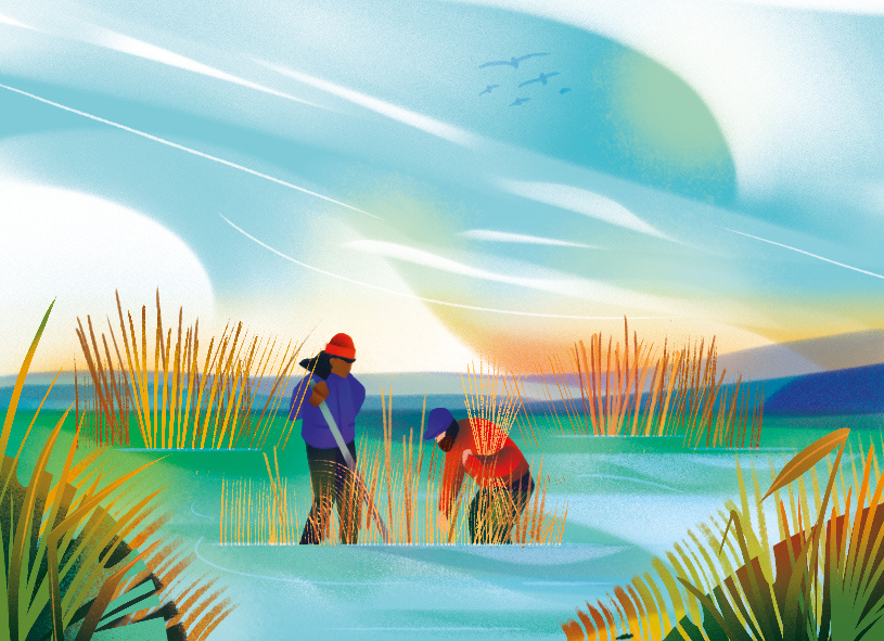 Climate Action board game climate digital folioart illustration jia yi liu landscape