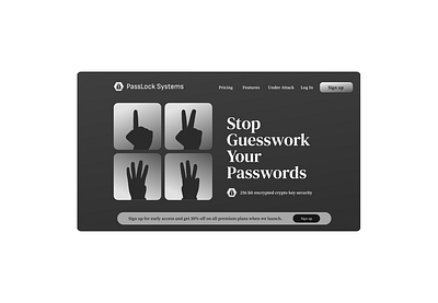 PassLock Systems - Password Management Website Design design ui ux website design