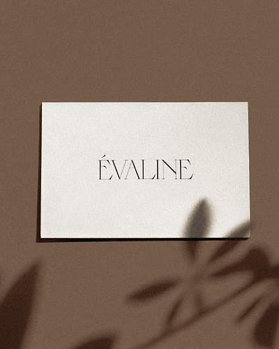 Evaline Logo Design by Wilde River Studio branding design graphic design illustration layout logo typography workbook