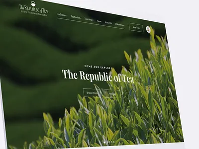 The Republic of Tea :: Responsive Website animated beverages consumer desktop device food and drink green icons illustration mobile mockup product design responsive sophisticated tea ui ui design video web design website