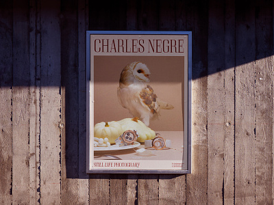 Charles Negre - Poster art directon branding design graphic design logo poster typography visual identity