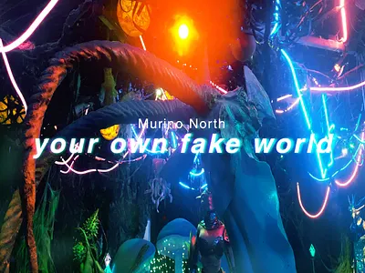 'your own fake world' album art for Murino North album art