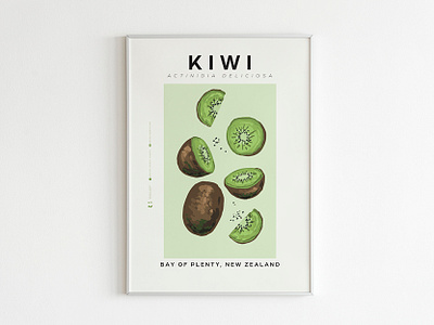 Kiwi Fruit Poster design graphic design illustration typography