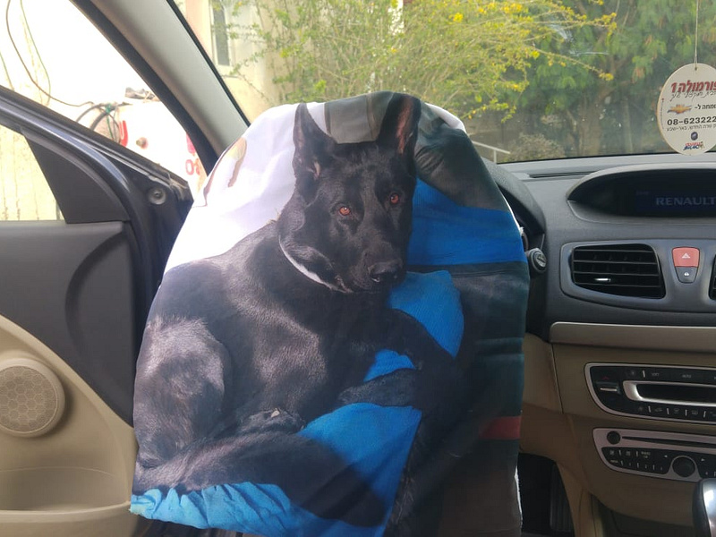 Wheel Cover designs, themes, templates and downloadable graphic