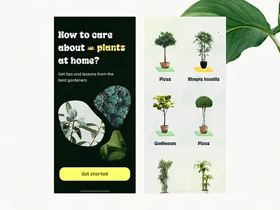 My Plants App appdesign application flowers garden ios mobile app planting plants ui app ui ux uiapp watering