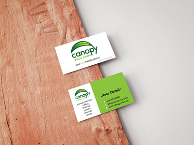 Canopy Tree Care branding graphic design illustration logo design marketing vector