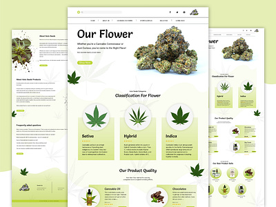 Marijuana Landing page bitmate bitmatestudio cannabis cannabis flower cannabis packaging cannabislandingpage flower interface landing page landingpage leaf marijuana marijuanalandingpage natural plants ui ux web design