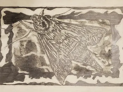 The Fly illustration