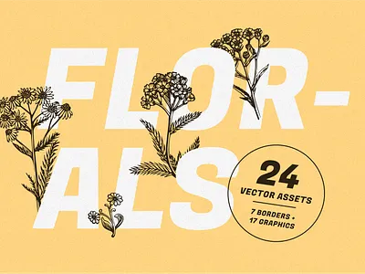Florals graphic design illustration typography