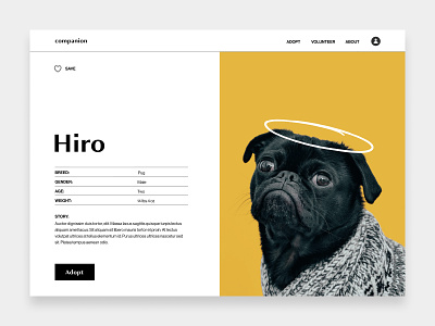 Companion – Details adoption animal animal adoption branding color colorful design dog graphic design illustration landing page logo product design ui web design website yellow