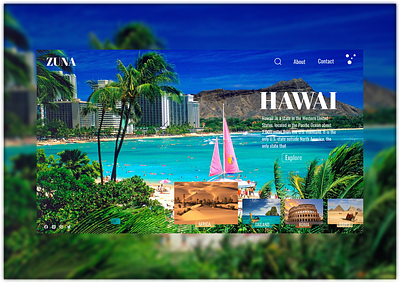 Hawaii app design graphic design ui ux