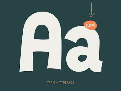 Tapir — Typeface design display font font fontdesign fonts fun hvd hvdfonts type typedesign typeface typo typography