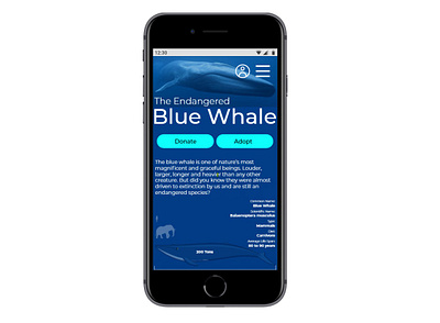 Blue Whale adobe design minimal prototype ui ux