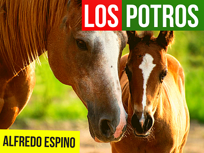 LOS POTROS ALFREDO ESPINO 🐎🌪️ | JícarasTristes Auras del Bohío antologia poetica