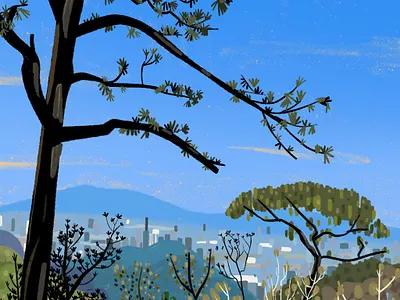 Monterrey, Mexico hike horizon illustration nature peace trees