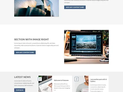 WordPress E-commerce website landing page graphic design website